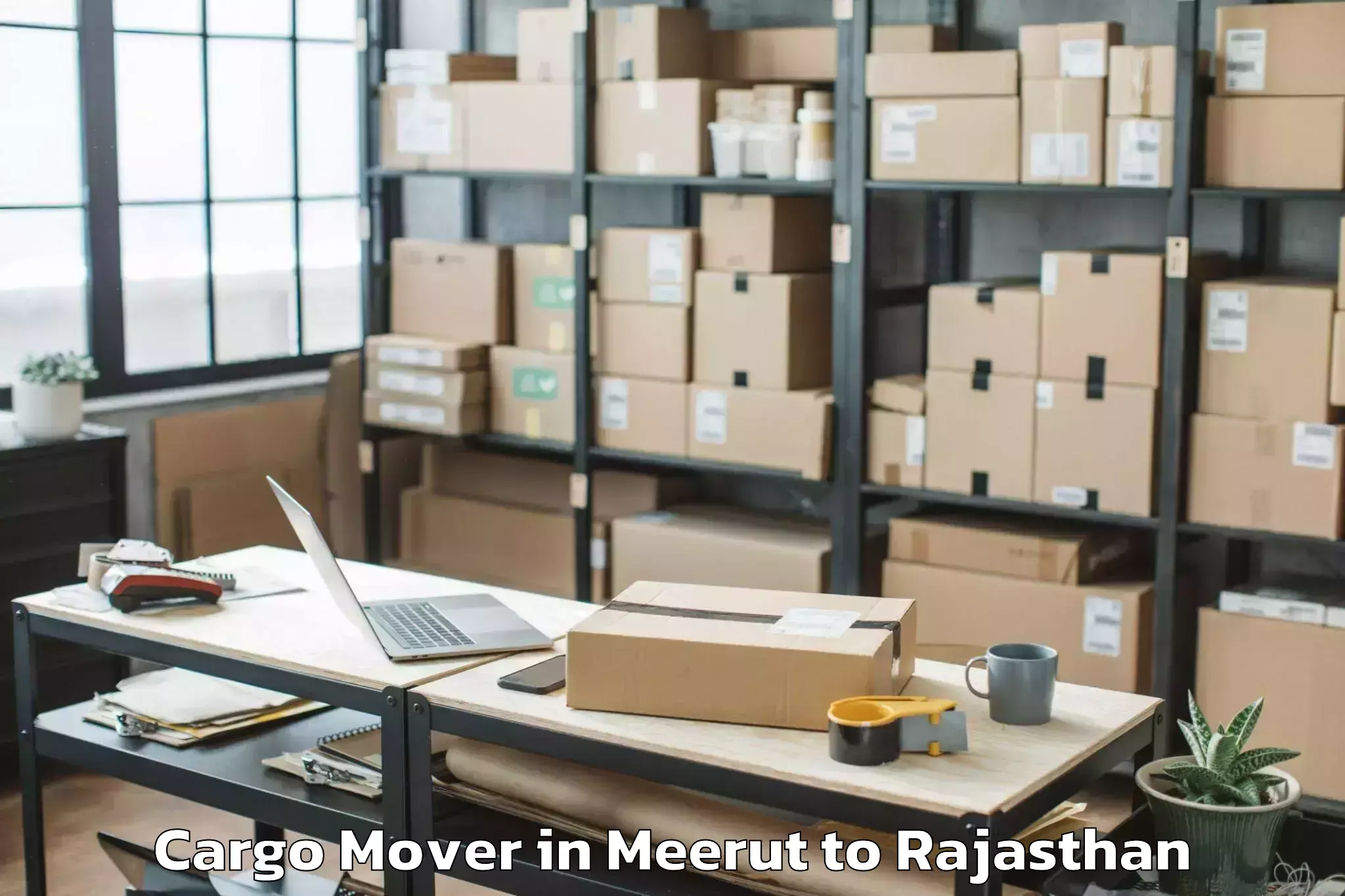 Top Meerut to Ghator Cargo Mover Available